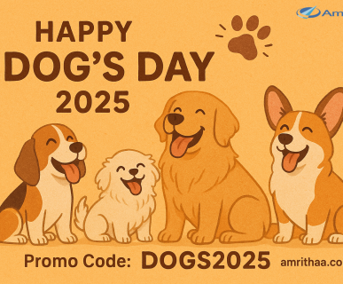 Dog Day